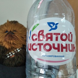 Telegram profile photo for Святой Источник