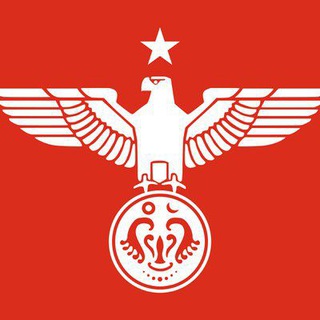 Telegram profile photo for Myanmar civil war video