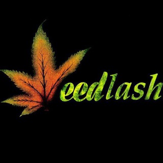 Telegram profile photo for ویدلش | weedlashiha