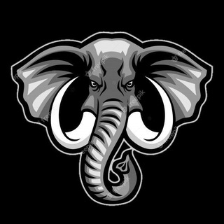 Telegram profile photo for Elephant Cheat
