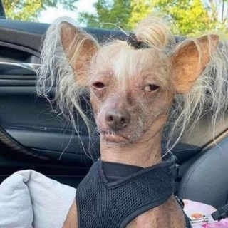 Telegram profile photo for uNlimiTeD WeiRdneSs