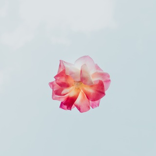 Telegram profile photo for wild&conscious Termine Franziska Fehre