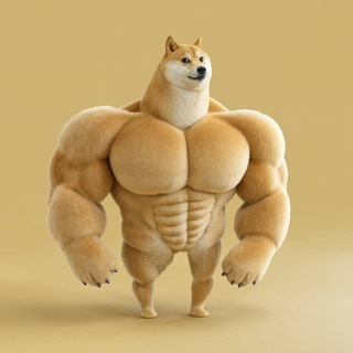 Telegram profile photo for Swole Doge Portal