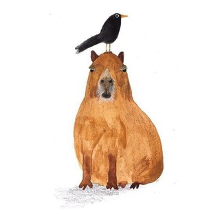 Telegram profile photo for Капибарин