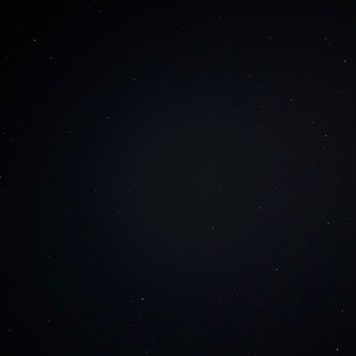 Telegram profile photo for Max alive || AKA Live2rise