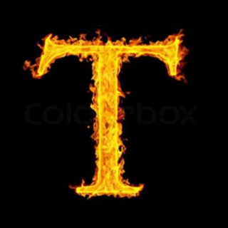 Telegram profile photo for Transpocalypse now backup