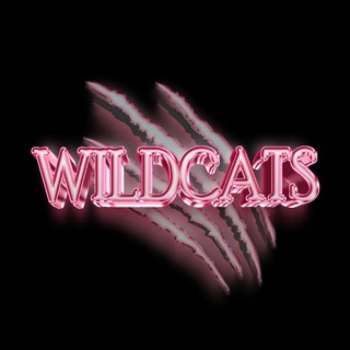 Telegram profile photo for Wildcatssss 🐈⬛