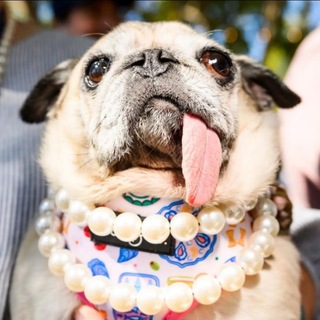 Telegram profile photo for В РЕЖИМЕ ОЖИДАНИЯ🥹