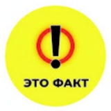 Telegram profile photo for ЭТО ФАКТ