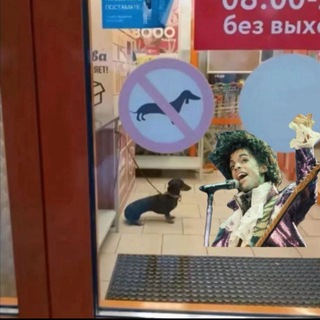 Telegram profile photo for Свидетели таксы в Верном (от и для душевнобольных) 2.0