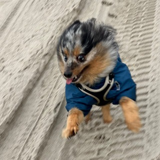 Telegram profile photo for Дневник из деревни