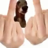 Telegram profile photo for Goofy ahh shitposting