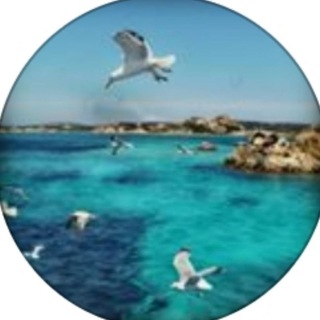 Telegram profile photo for Нетипичные туристы 🌍