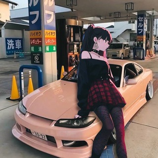 Telegram profile photo for ProfilePhoto/高清头像/壁纸