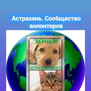 Telegram profile photo for Верный Астрахань