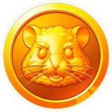 Telegram profile photo for Hamster Kombat Combo