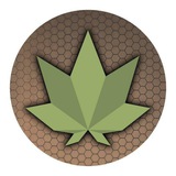 Telegram profile photo for כיוונים נתניה