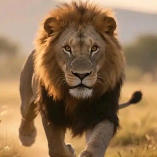 Telegram profile photo for 狮子🦁曝光频道