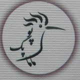 Telegram profile photo for پوپک