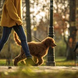 Telegram profile photo for Feruze | City Walks & Travel