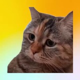 Telegram profile photo for 가상화폐는 더이상 가짜돈이 아냐