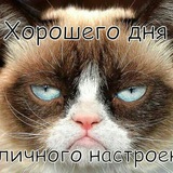 Telegram profile photo for Феечка