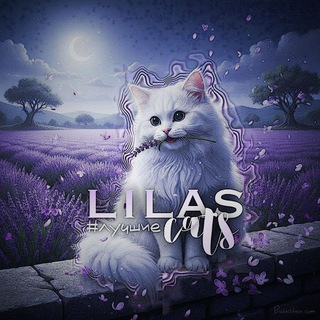 Telegram profile photo for Ꮮilᴀs ᴄᴀᴛs🪻
