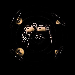 Telegram profile photo for ShmunkyShop