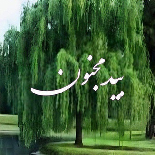 Telegram profile photo for بید مجنون