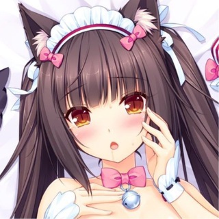 Telegram profile photo for playboybunny:3