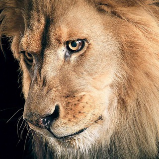 Telegram profile photo for WHAT IS TRUTH