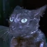 Telegram profile photo for $Glitter - CTO