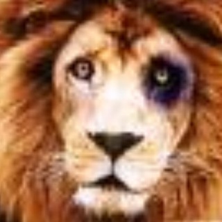 Telegram profile photo for wod_1958