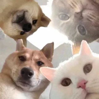 Telegram profile photo for ЛюЭвЛиАр