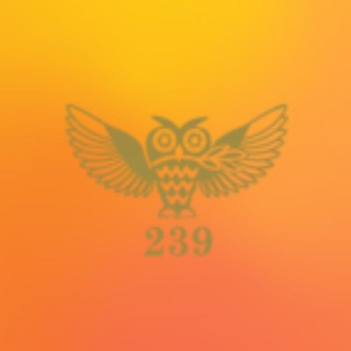 Telegram group profile photo for 239-chat