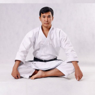 Telegram profile photo for Механик осанки