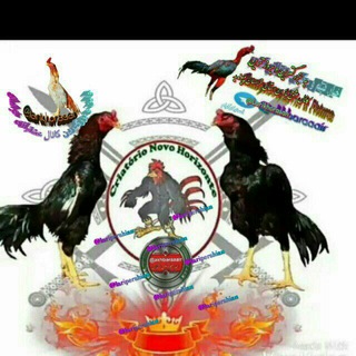 Telegram profile photo for بروزترین وبزرگترین کانال اخبارعشق بازان خراسان بزرگ