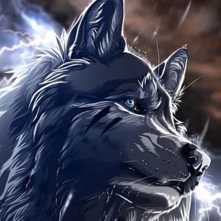 Telegram profile photo for Referencias Savage (New)
