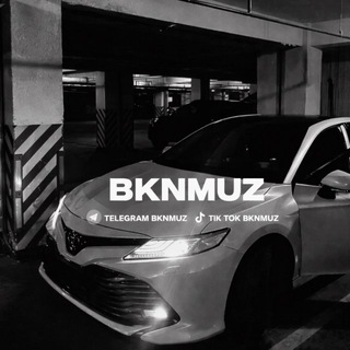 Telegram profile photo for bknmuz 022wave