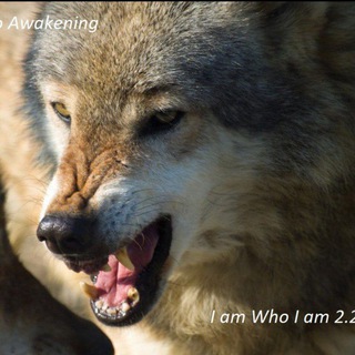 Telegram profile photo for I AM NEW CHAT 2025