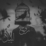 Telegram profile photo for ■{black♤ghost♤record }■