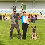 Telegram profile photo for Школа бесконфликтной дрессировки собак