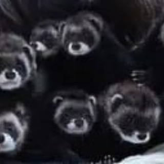 Telegram group profile photo for Хорячие посиделки