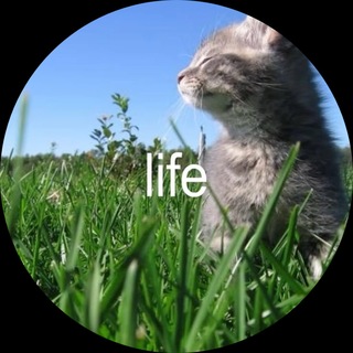 Telegram profile photo for .dotlifexxx.life