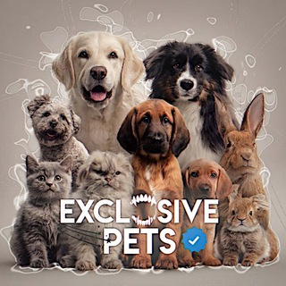 Telegram profile photo for Exclusive pets