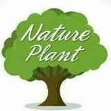 Telegram profile photo for Natureplant Commerce
