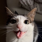 Telegram profile photo for май лайф май рус
