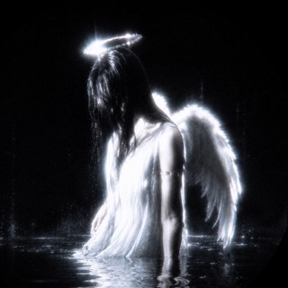 Telegram profile photo for 𝖘𝖆𝖏𝖔𝖈 | 無常