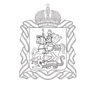 Telegram profile photo for СВОИ | НКО Московской области