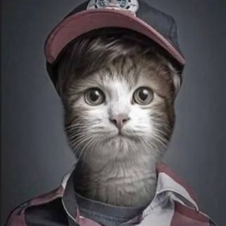 Telegram profile photo for sleepover